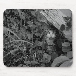 A Wanderer's Dwelling Mouse Pad
