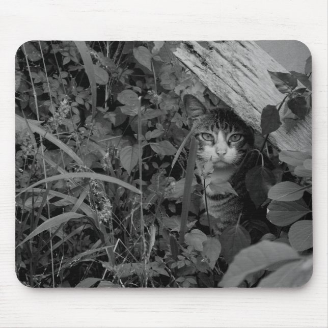 A Wanderer's Dwelling Mouse Pad (Front)