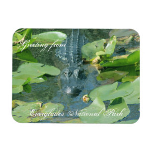 A warm greeting from Everglands Nat'l Park Magnet