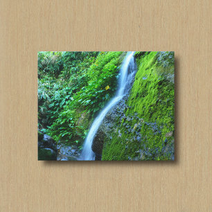 A Waterfall in the Wilderness Canvas Print