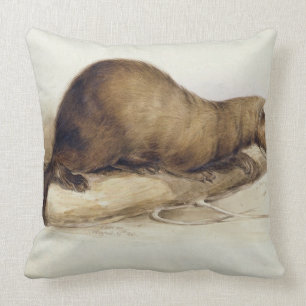 A Weasel, 1832 (w/c, pen, ink, gouache and gum ove Throw Pillow
