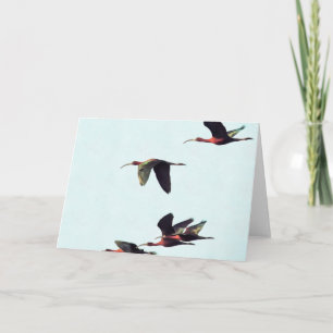 A Wedge of Ibises In Flight Card