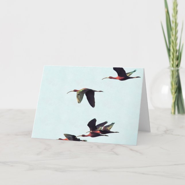 A Wedge of Ibises In Flight Card (Front)
