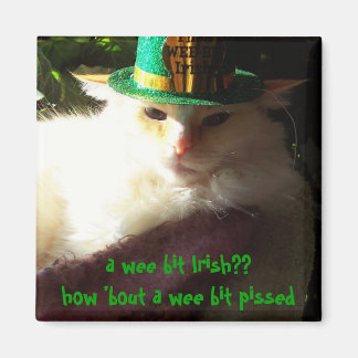 A Wee Bit Irish Magnet