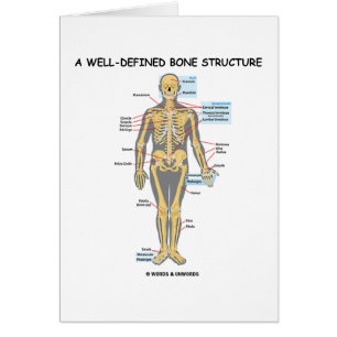 A Well-Defined Bone Structure (Human Skeleton)