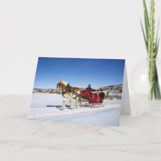 A Western Christmas - Horse Christmas Sleigh Holiday Card