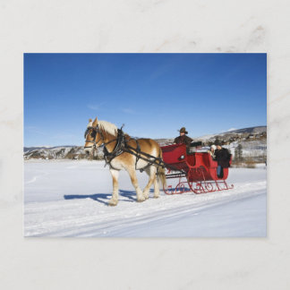 A Western Christmas - Horse Christmas Sleigh Holiday Postcard