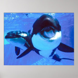 A Whale of a Time Poster