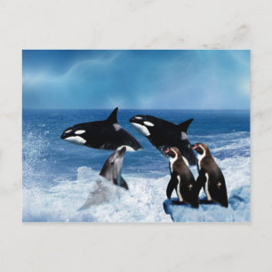 A whale of a world postcard