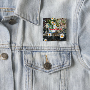 A white and blue pot of wild daisies on a shelf 2 inch square button