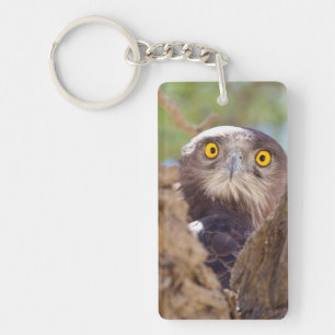 A White-breasted Snake Eagle Keychain