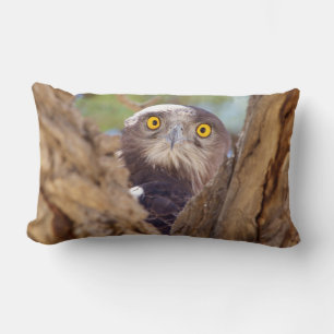 A White-breasted Snake Eagle Lumbar Pillow