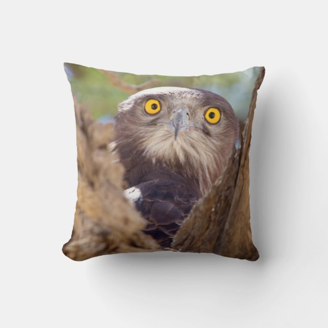 A White-breasted Snake Eagle Throw Pillow (Front)