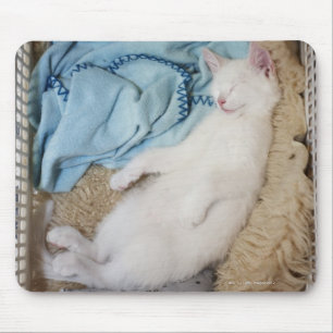 A white cat sleeping in a laundry basket, mouse pad