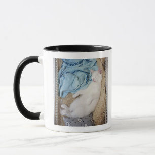 A white cat sleeping in a laundry basket, mug
