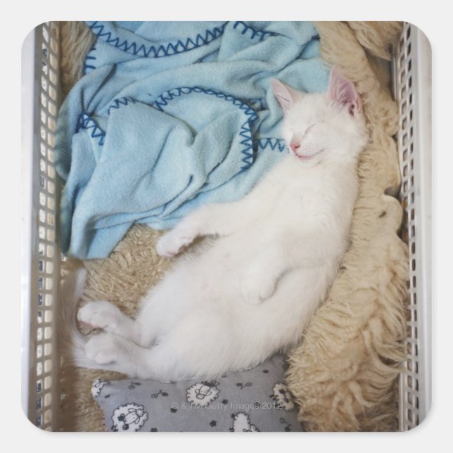 A white cat sleeping in a laundry basket, square sticker (Front)