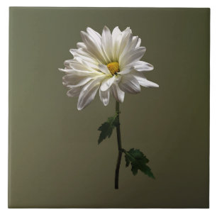 A White Daisy Tile