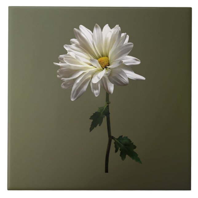 A White Daisy Tile (Front)