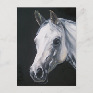 A White Horse Postcard