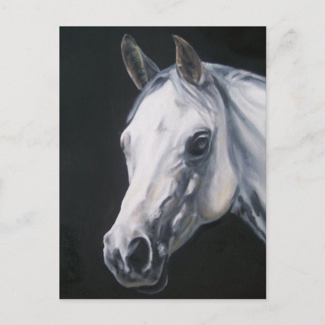 A White Horse Postcard (Front)