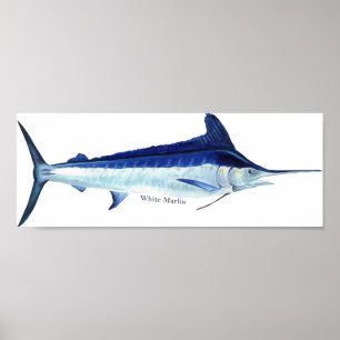 A white marlin poster