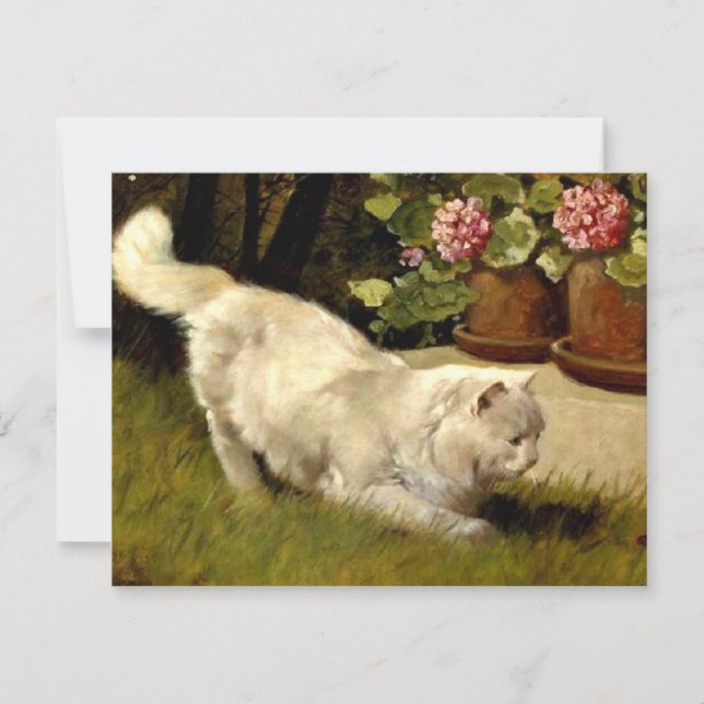 A White Persian Cat Watching a Ladybug Card (Front)