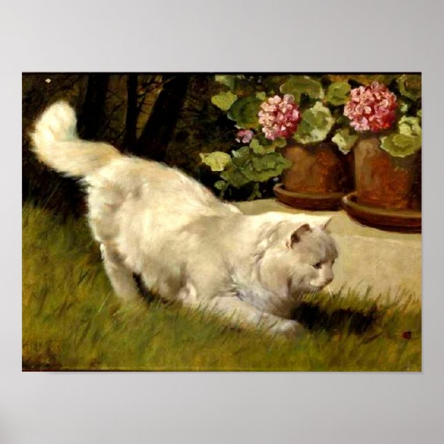 A White Persian Cat Watching a Ladybug Poster (Front)