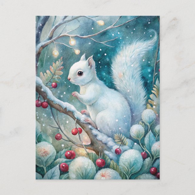 A White Squirrel Postcard (Front)