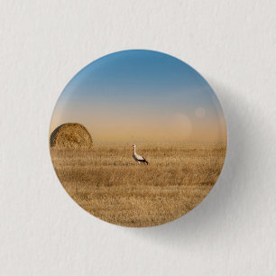A white stork  1 inch round button