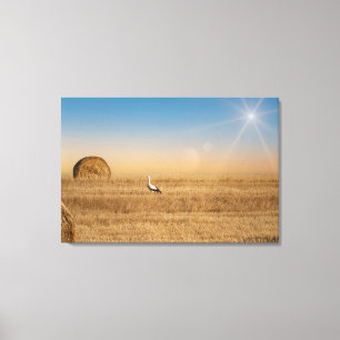 A white stork canvas print