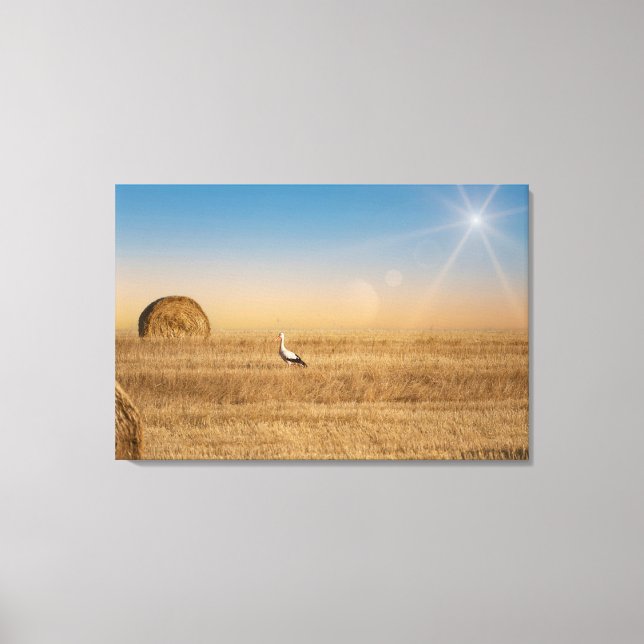 A white stork  canvas print (Front)