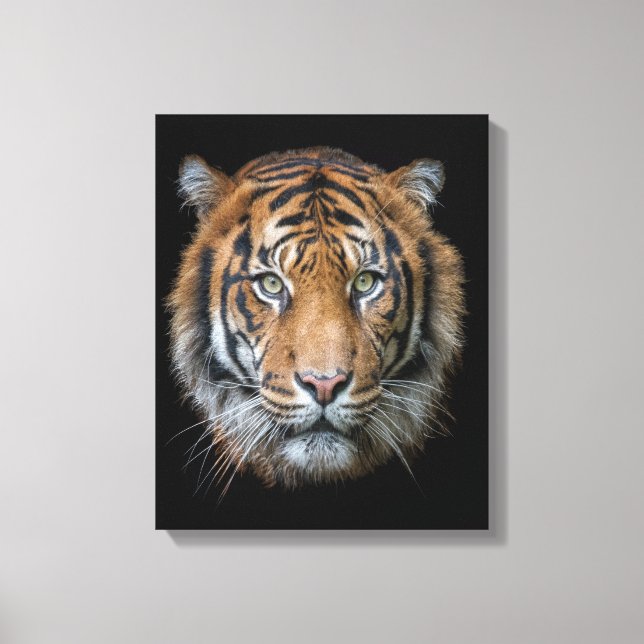 A wild Bengal Tiger face Canvas Print (Front)
