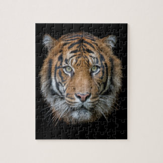 A wild Bengal Tiger face Jigsaw Puzzle