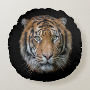 A wild Bengal Tiger face Round Pillow