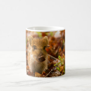 A Wild Boar Piglet Sus Scrofa in the Autumn Leaves Coffee Mug