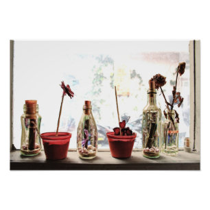 a Window and Flowers - Photo Print