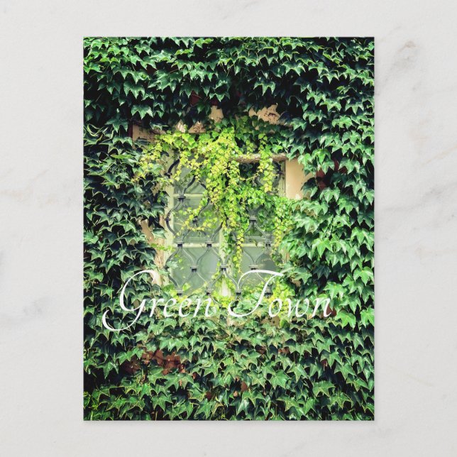 A window in green plants Case-Mate iPhone case Cla Postcard (Front)