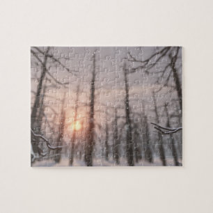 A Winter Night's Dream Puzzle