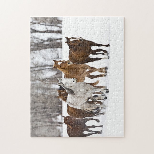 A winter scenic of running jigsaw puzzle (Vertical)