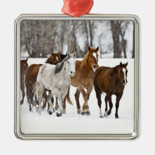 A winter scenic of running metal ornament
