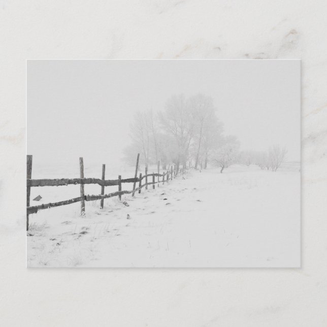 A Winter Snow Scene Postcard (Front)