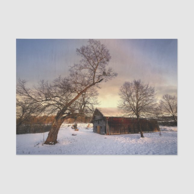 A Winter Tree Protecting a Tired Barn Tissue Paper (Front)