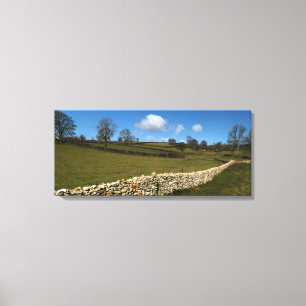 A Winter Wall Canvas Print