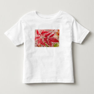 A winters ice storm covering the leaves of toddler t-shirt