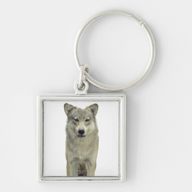 A wolf keychain (Front)