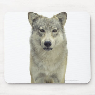 A wolf mouse pad