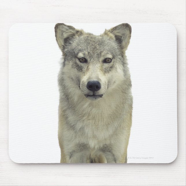 A wolf mouse pad (Front)