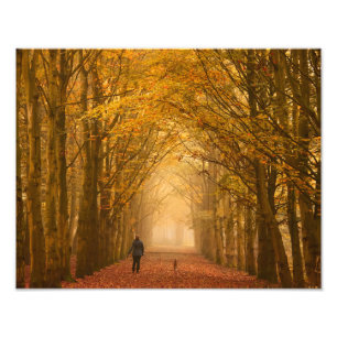 A woman walking with dog on a fall morning photo print