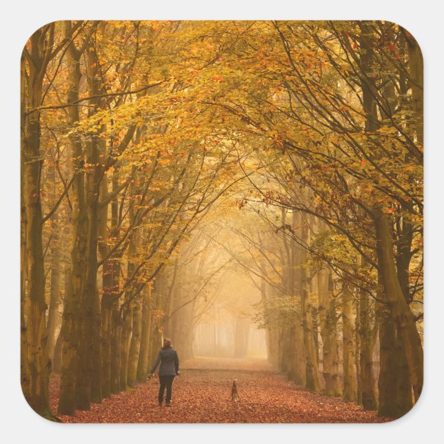 A woman walking with her dog in fall sticker (Devant)