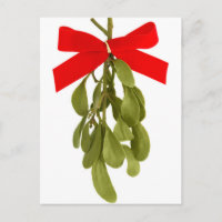 A woman's hand holding a sprig of mistletoe